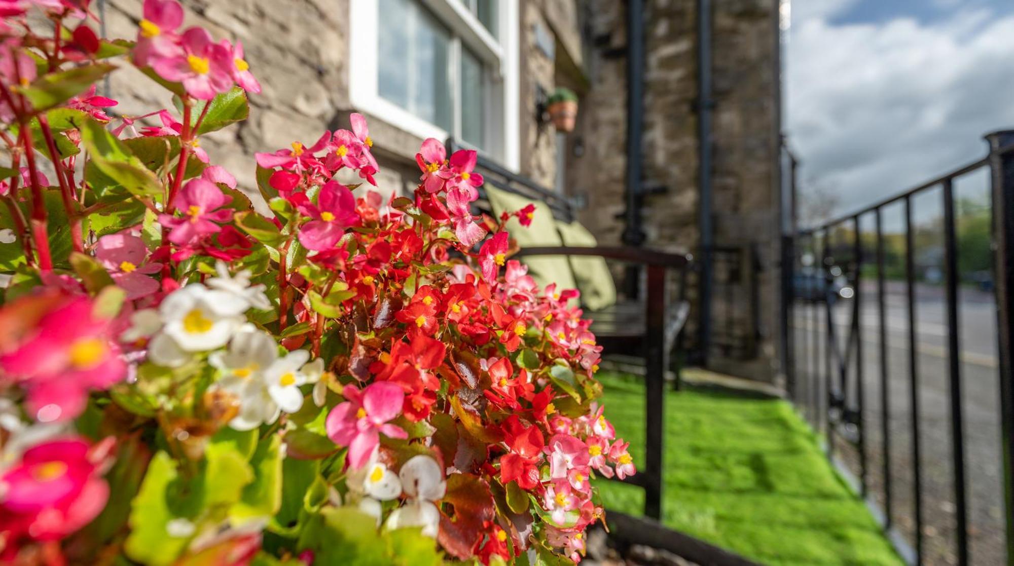 Wee Toad Hole Heart Of Kendal - Cottage Sleeps 4-6 - Dogs Welcome Zewnętrze zdjęcie